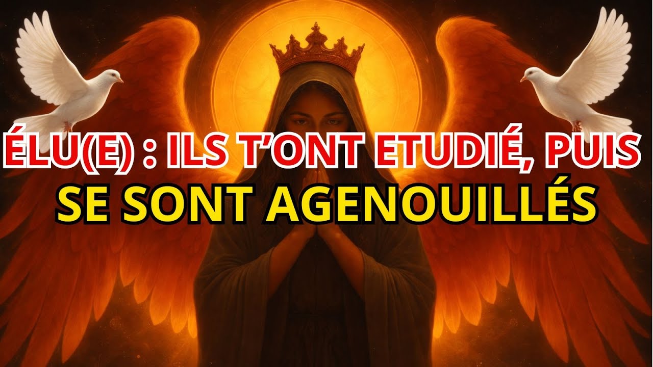 L’élu : Les dieux t’ont observé pendant 5 ans… puis ils se sont inclinés devant toi.