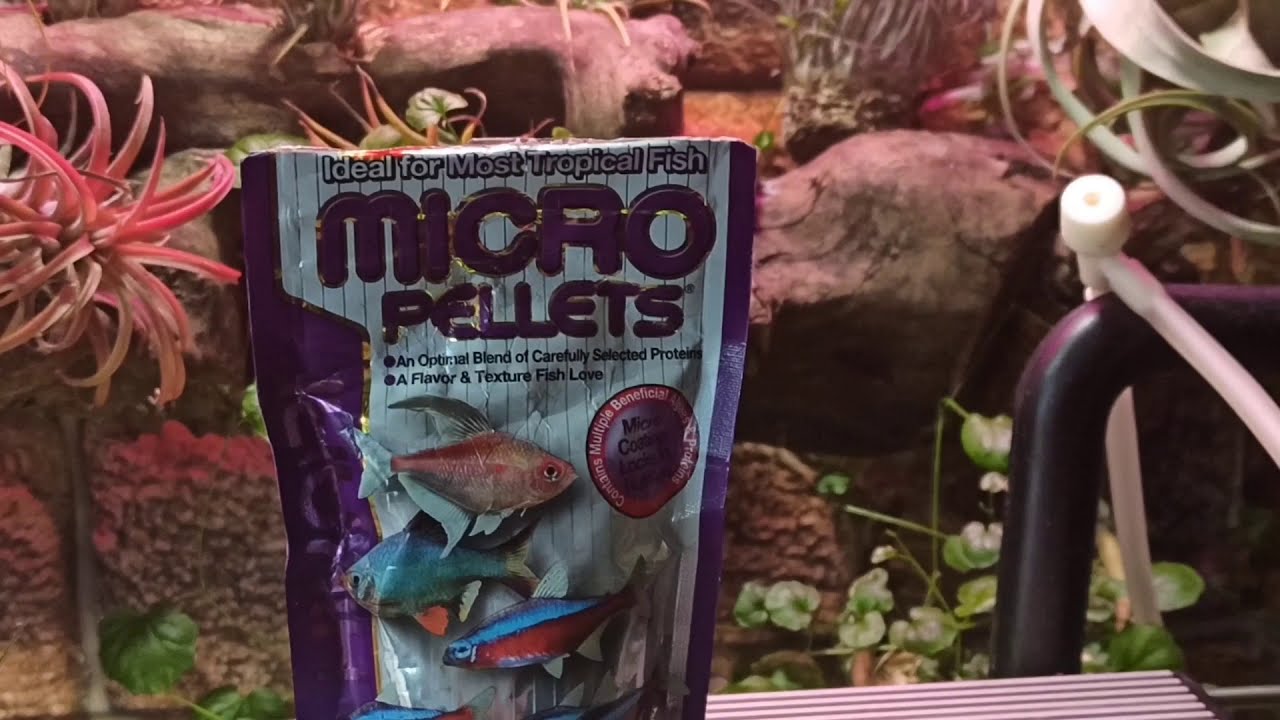 Корм для мелких рыбок Hikari Micro Pellets