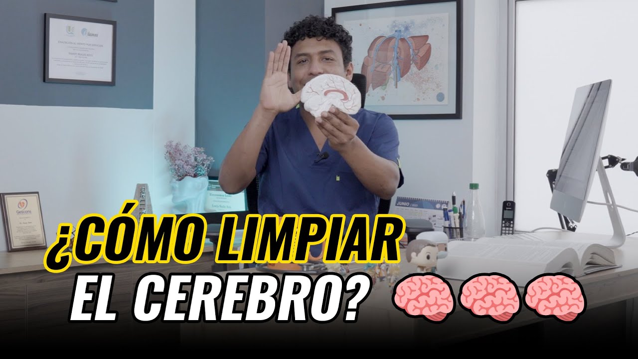 ¿Cómo limpiar el cerebro? 🧠 | DR. RAWDY