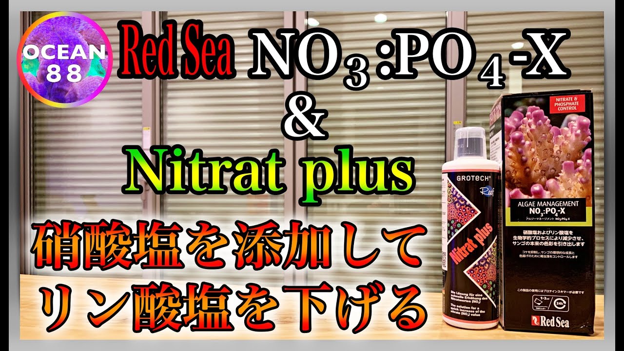 【海水魚水槽・サンゴ水槽】Red Sea NO3:PO4-X ＆ GROTECH Nitrat plus（ナイトレイトプラス)　硝酸塩を添加してリン酸塩を下げる
