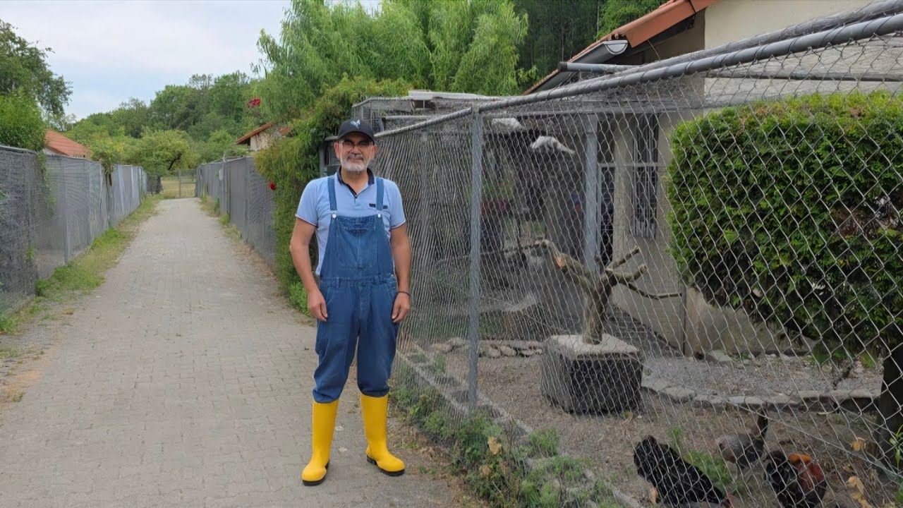 Hobby çiftligimin tanıtımı