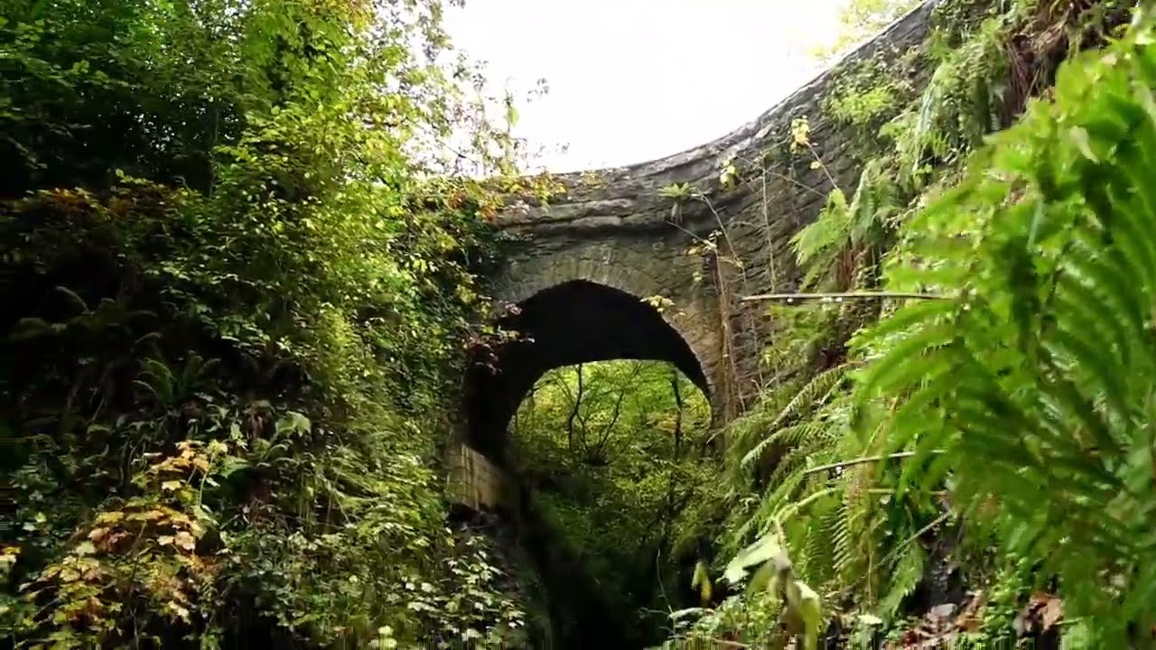 Lydford Gorge: The Hidden Rainforest of the UK You Need to Visit! 🌳