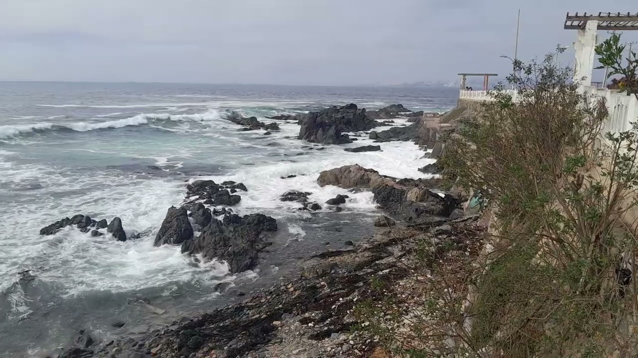 Geomorfologia litoral y biogeografia del borde costero de Valparaiso, costa del Pacifico Sur, Chile.