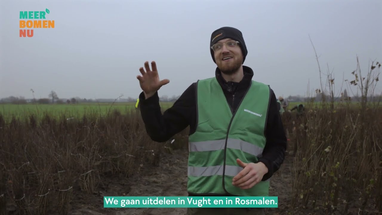 Heggenfestijn video 2 | Meer Bomen Nu