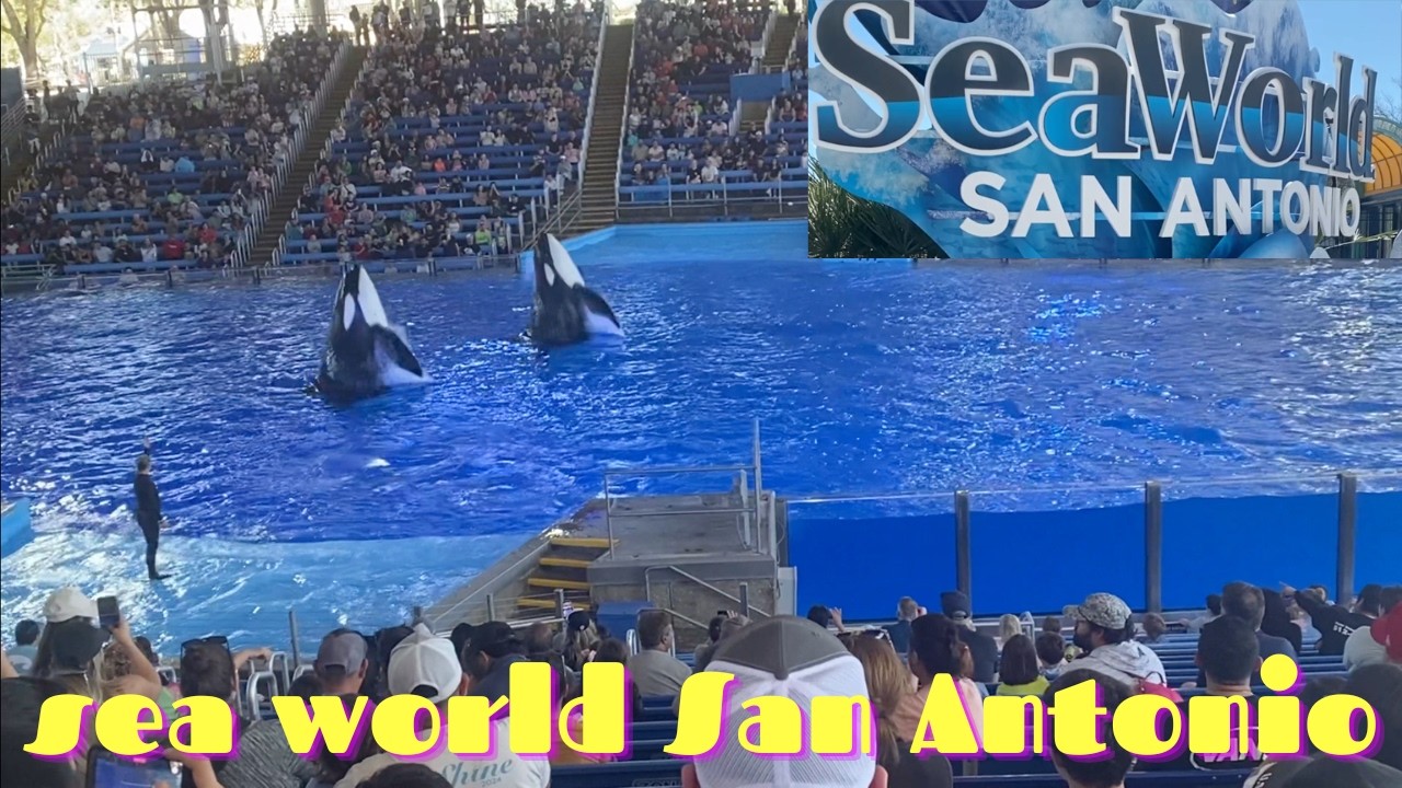 Sea World San Antonio