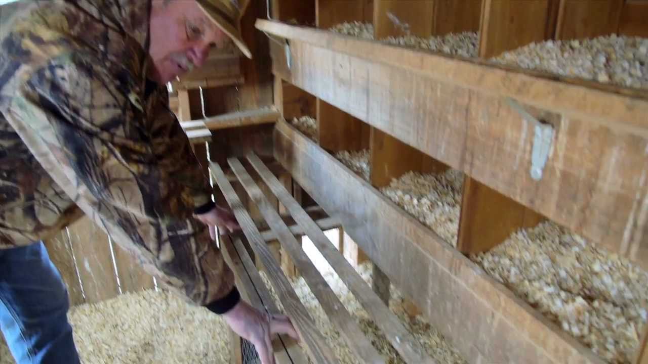 Day on the Farm - Caring for your Flock