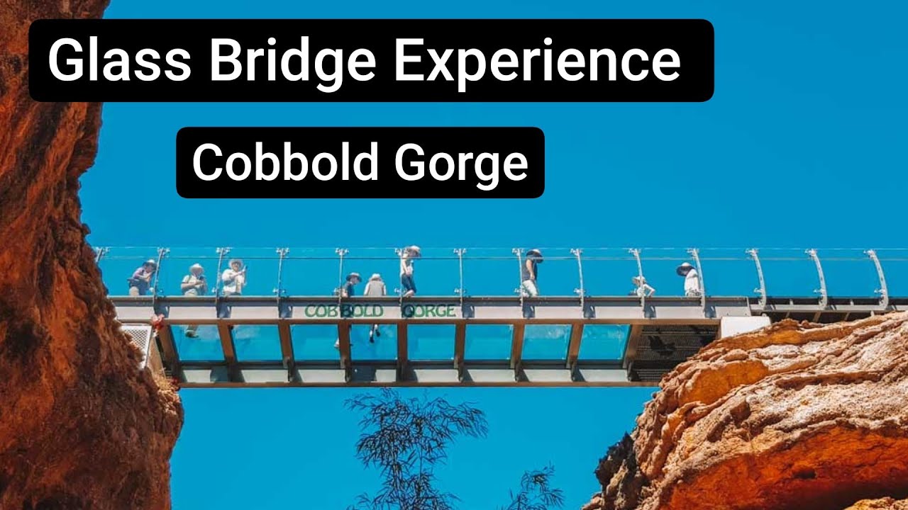 COBBOLD GORGE GLASS BRIDGE | QLD Road Trip | Gorge Boat Tour including Walking over Glass Bridge