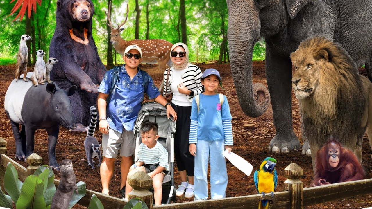 Bali Zoo #bali #balizoo 