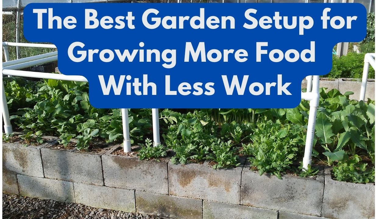 The Best Garden Setup for Growing More Food With Less Work