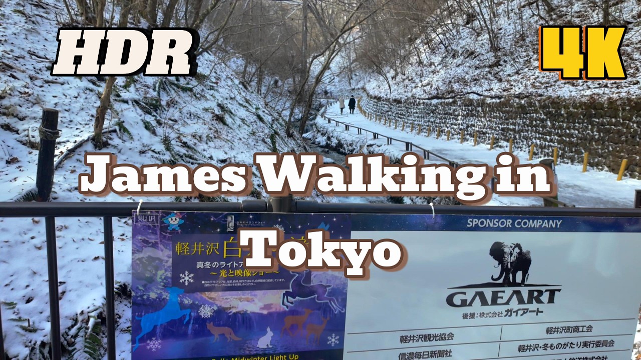 2025 James Walking in Tokyo Christmas 冬日東京：與女兒的雪國初體驗