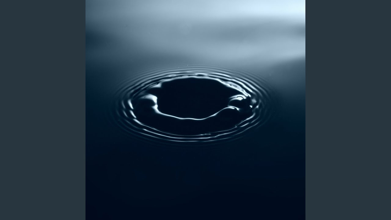 Echo