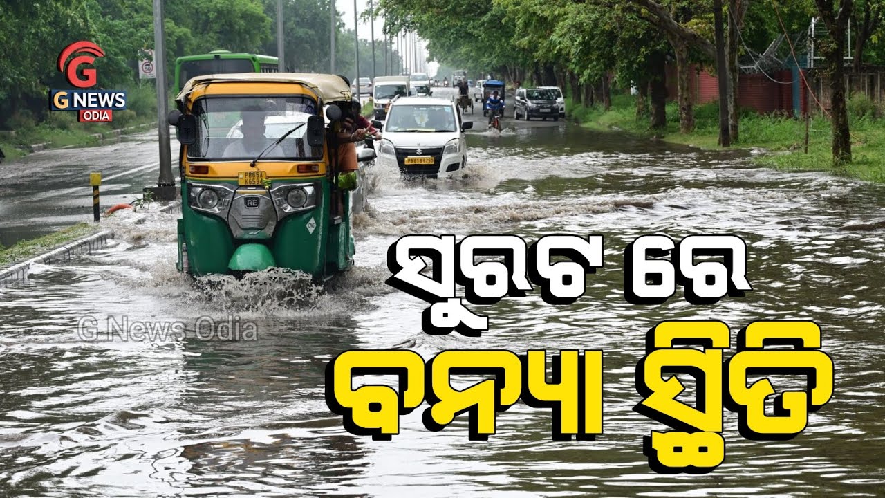 Heavy Rainfall in Gujrat | Rain Alert Gujarat | Weather News Gujarat | Weather Update today