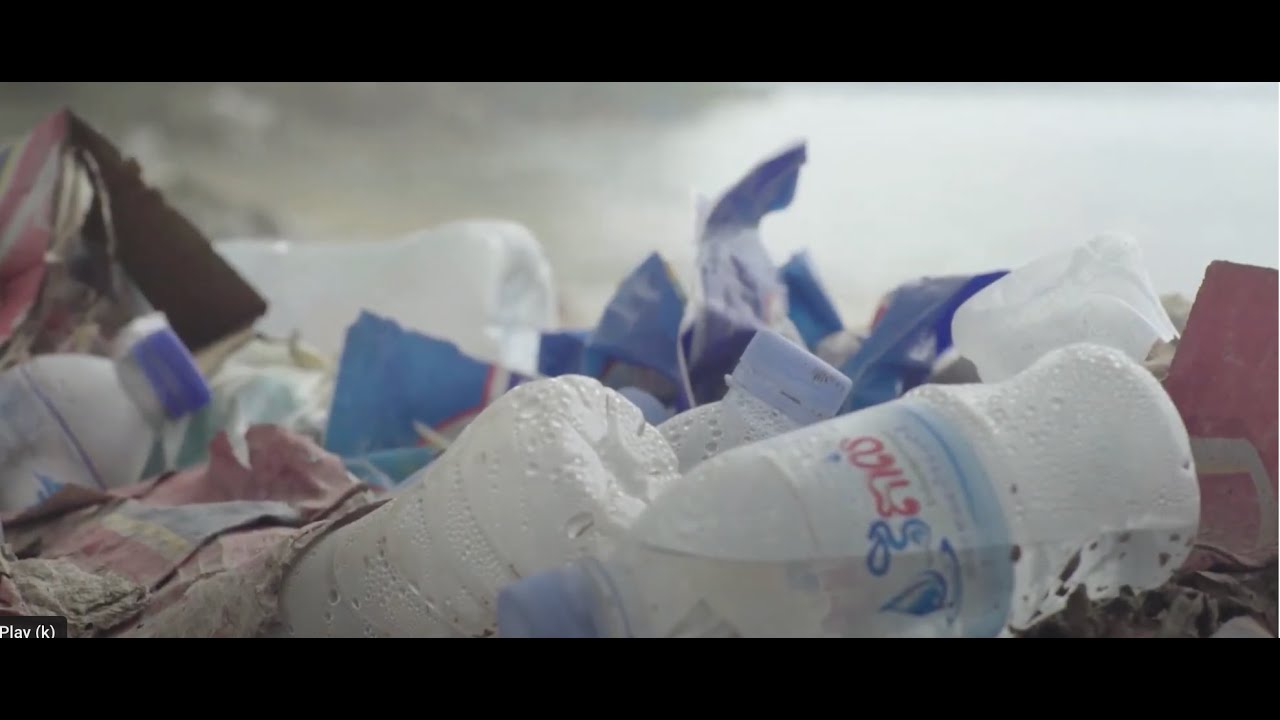 Why Sustainability Matters