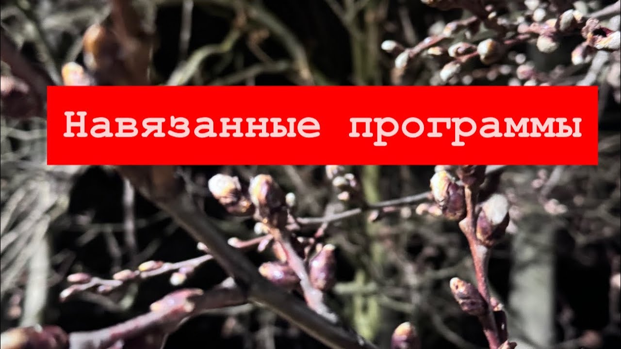 Нам навязывают программы с детства. Только не все понимают..