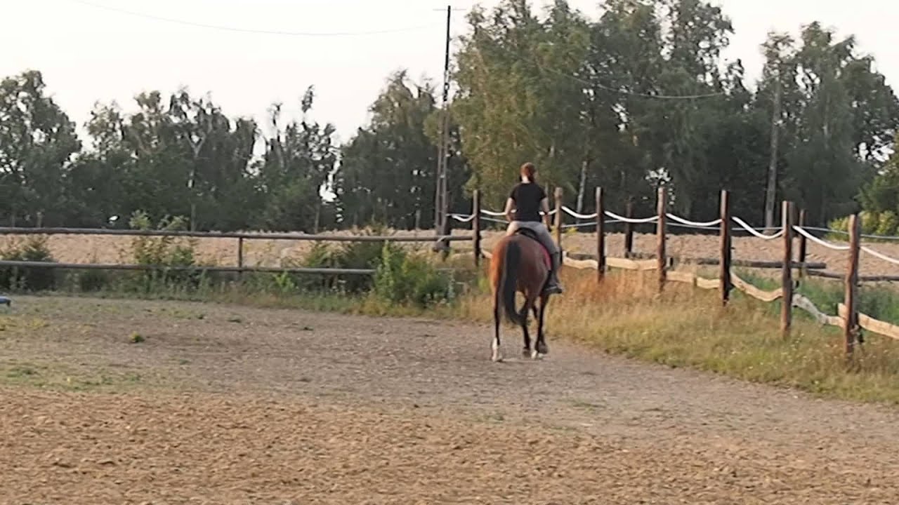 P1010286