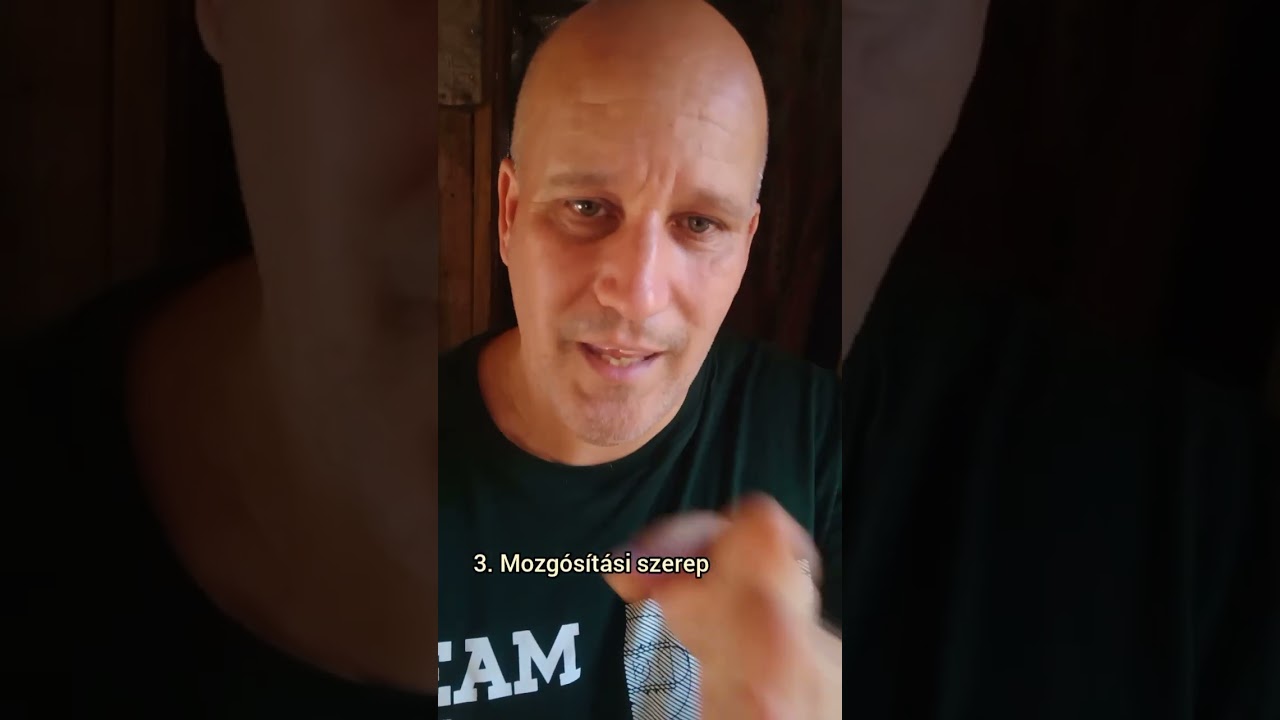 Mi haz&aacute;nk a Fidesz szatelit p&aacute;rtja...vagy nem?
