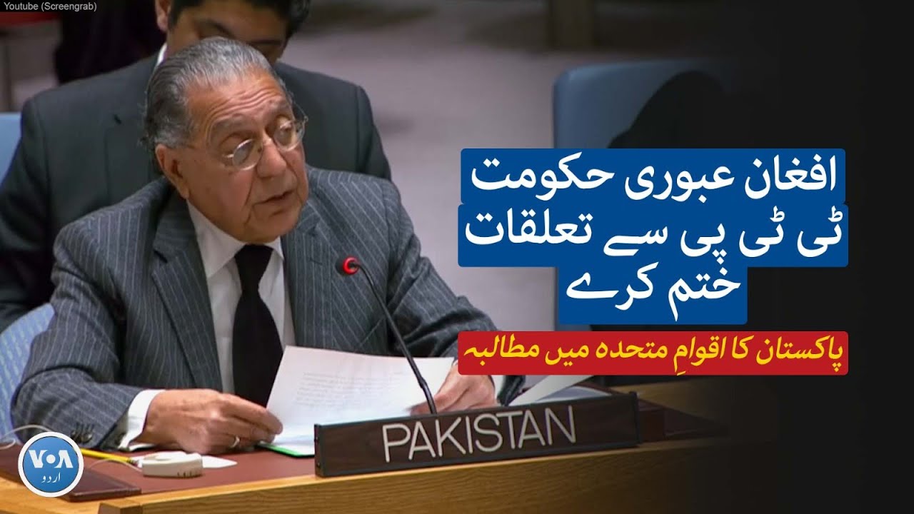 Afghan Taliban should cut ties with TTP, Pakistan’s Ambassador to the UN, Munir Akram