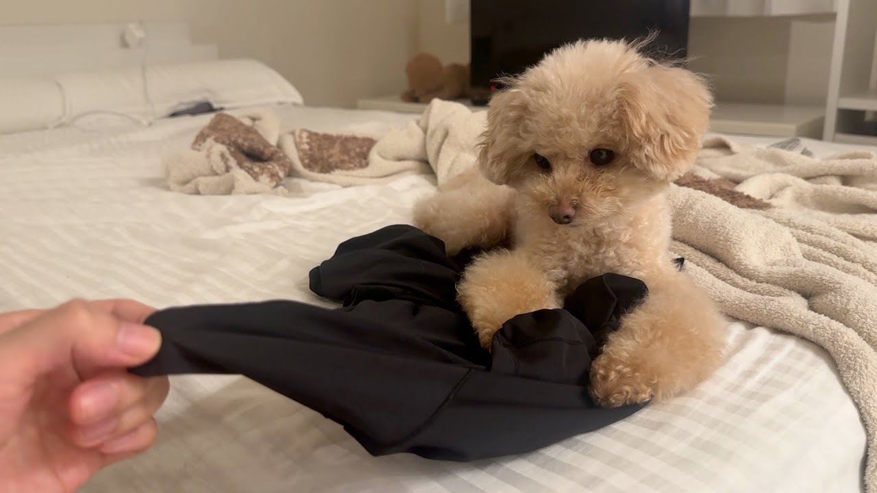 洋服を取り返そうとしたら逆ギレされた
