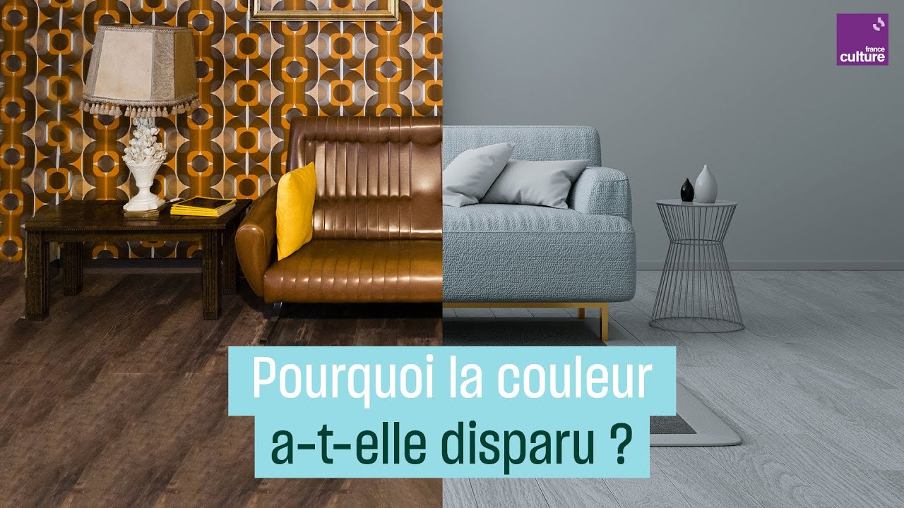 Pourquoi la couleur a disparu de notre quotidien