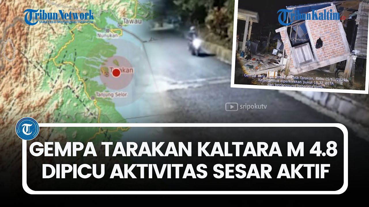 Gempa Tarakan Kaltara Magnitudo 4.8 Dipicu Aktivitas Sesar Aktif, Rumah Warga Rusak