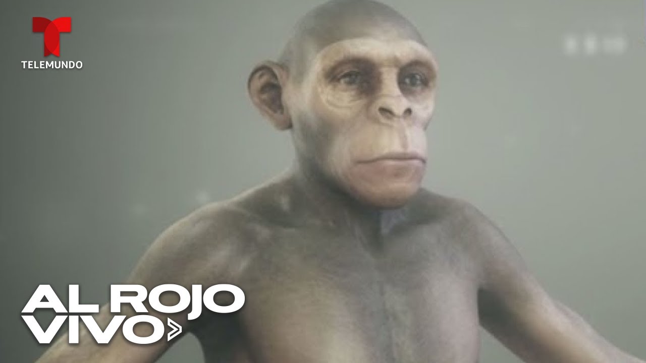 Estudian los rasgos gen&eacute;ticos que nos hacen humanos