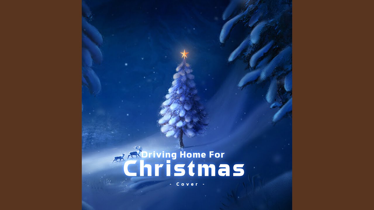 Driving Home For Christmas (Cover)