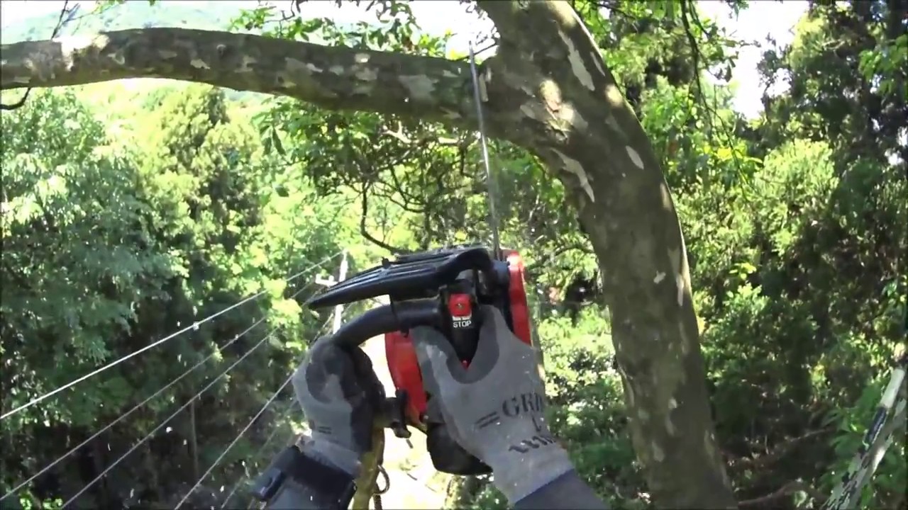 Tree cutting close the high voltage distribution line 【Ⅱ】