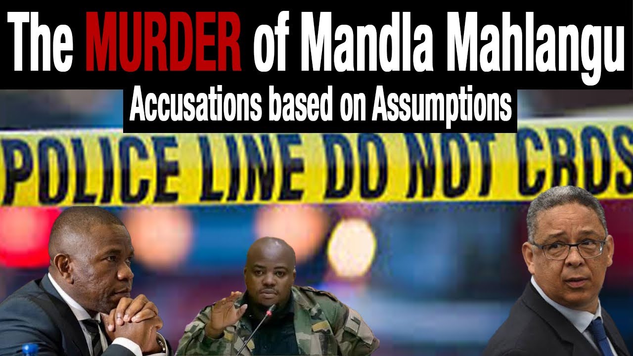 Mcbride on Mandla Mahlangu murder case