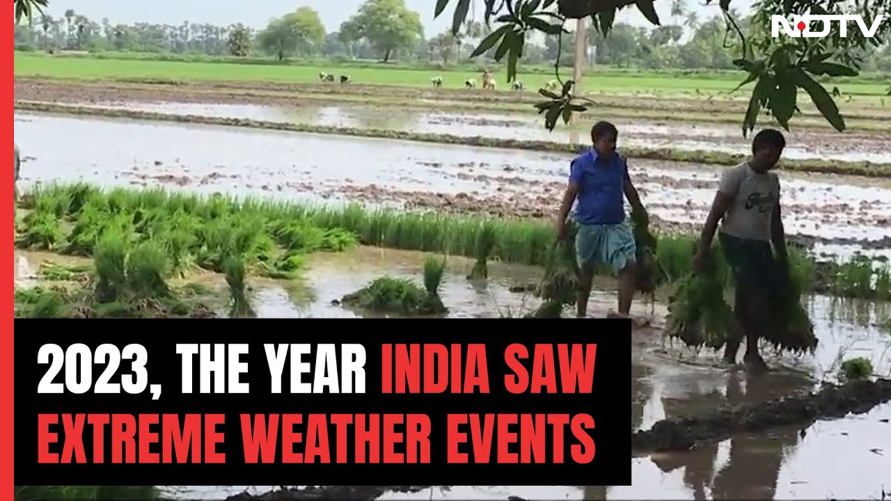 Learnings From 2023, The Year India Saw Extreme Weather Events