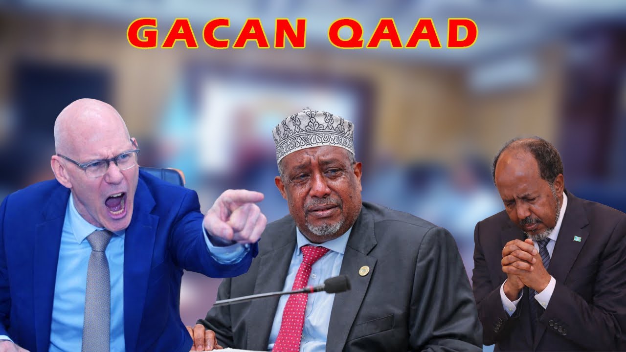 DEG DEG Swan oo xanaaq dartiis u feeray A/Madoobe Amar culus oo la siiyay Arinta Ansixinta Dastuurka