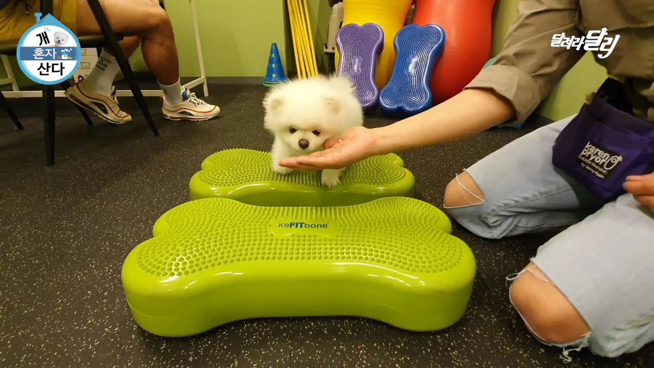 '개혼자산다' 돨배우의 싱글라이프 최초공개!