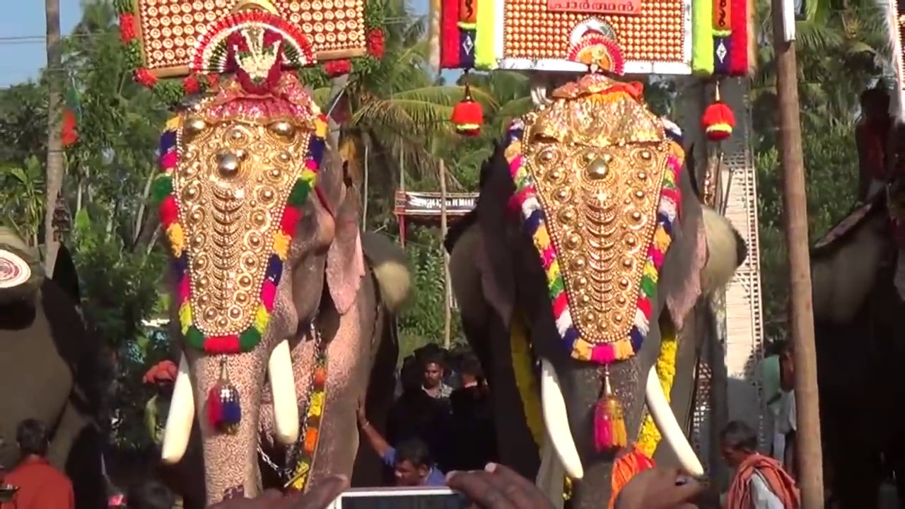 Thechikottukavu Ramachandran Vs Cherpulassery Parthan