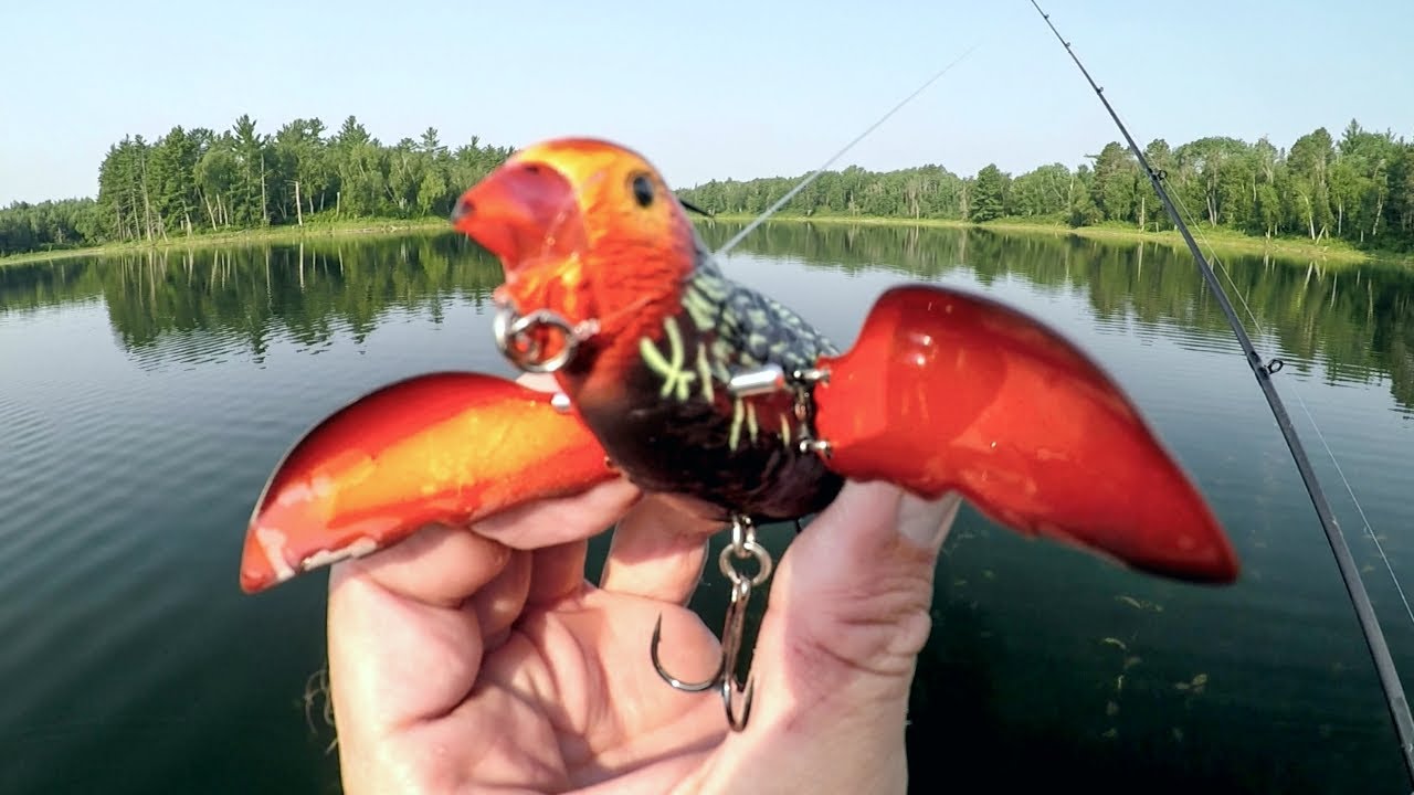 Приманка для птиц ловит ОГРОМНЫХ окуней!