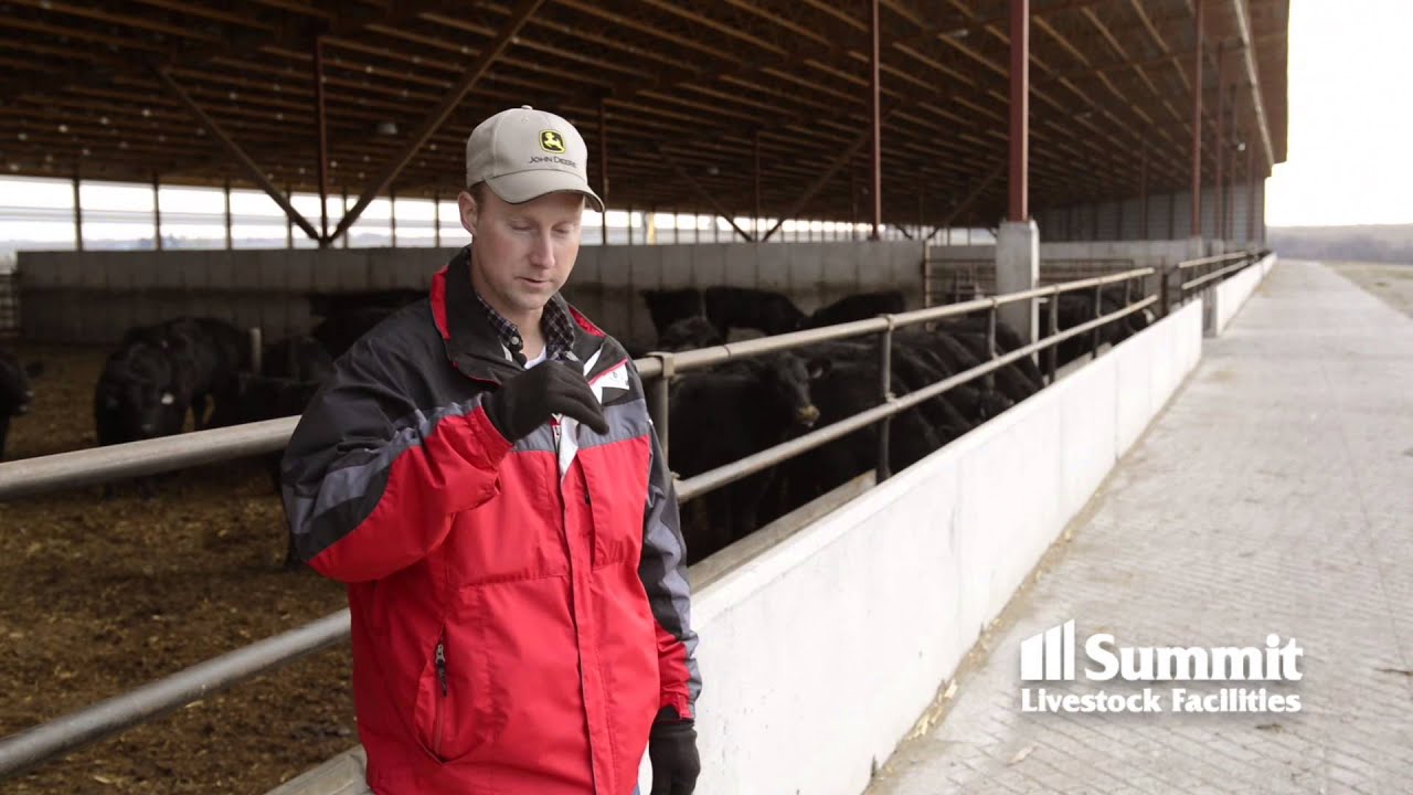 David Rydberg explains the rate of gain difference between a monoslope and outdoor feedlot.