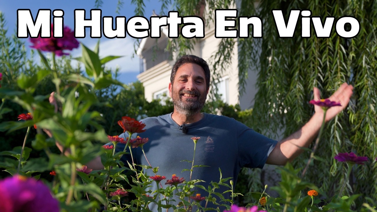 Así está mi huerta hoy: qué funciona, qué no y qué mejoraría EN VIVO