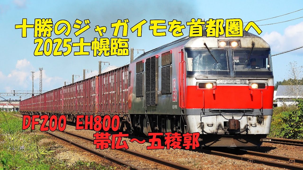 十勝のジャガイモを首都圏へ 2025士幌臨