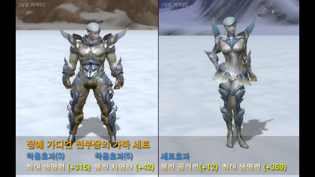 [아이온] 정예 가디언 천부장의 가죽 세트