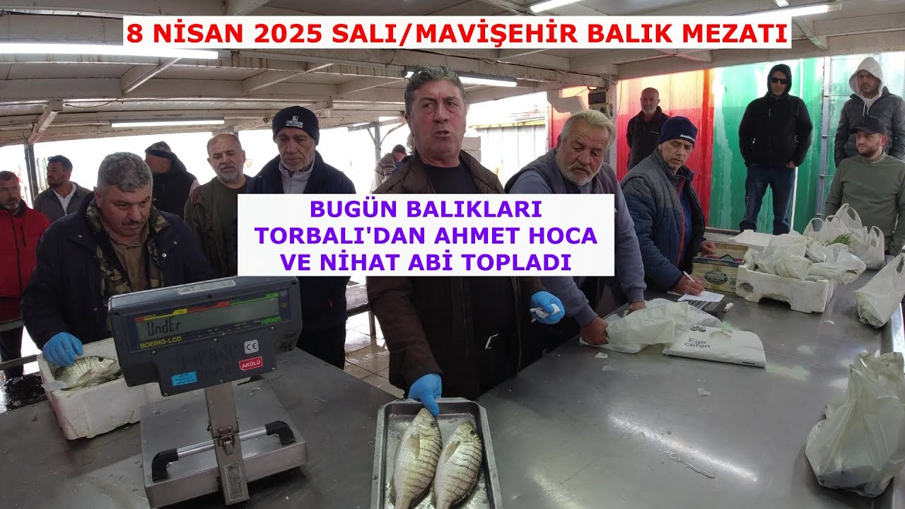 MAVİŞEHİR MEZATTA BUGÜN BALIKLARI TORBALI'DAN AHMET HOCA VE NİHAT ABİ TOPLADI.