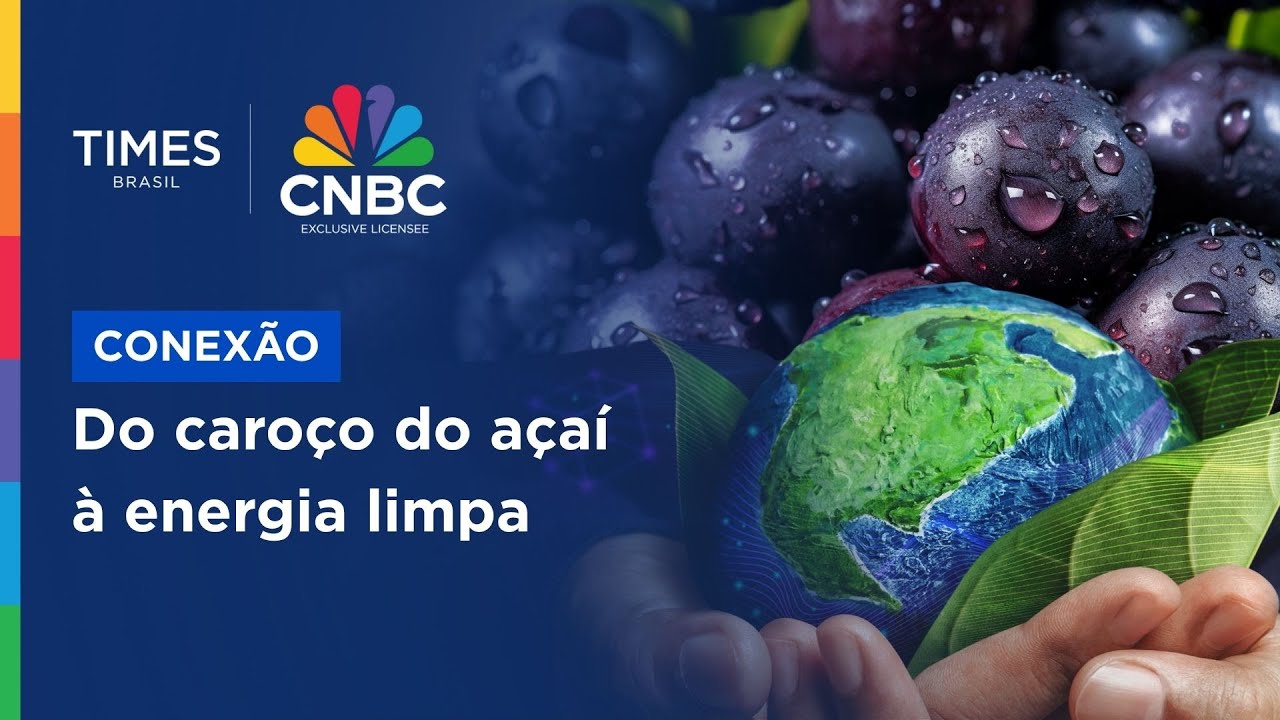 Entenda como inovação brasileira tem destaque em energia renovável com biomassa