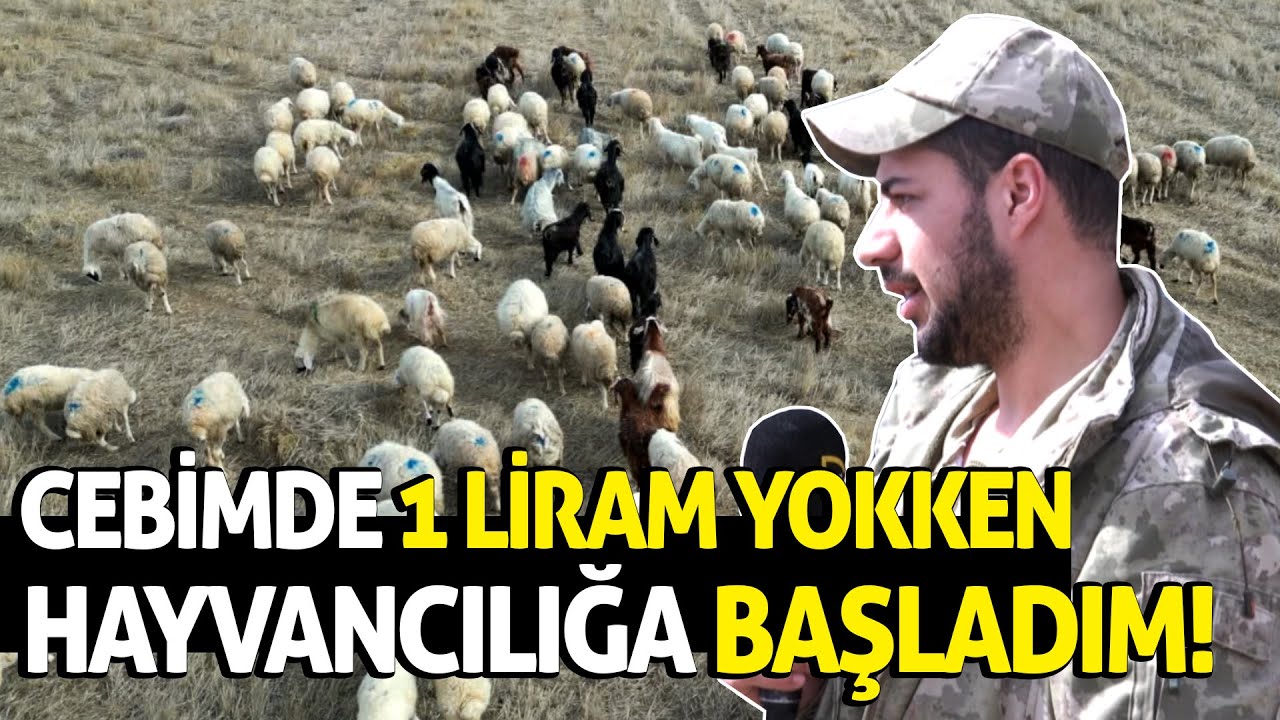 Cebimde 1 Liram Yokken Hayvancılığa Başladım!