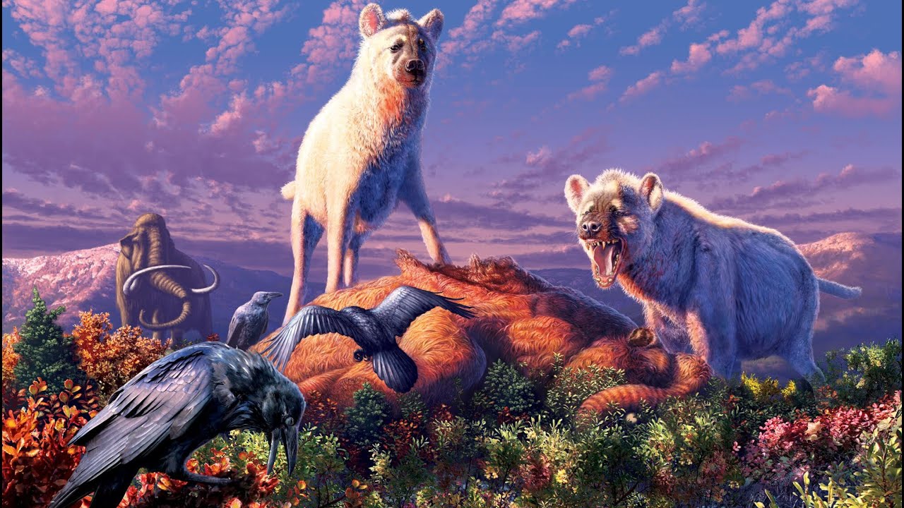 A History of Hyenas
