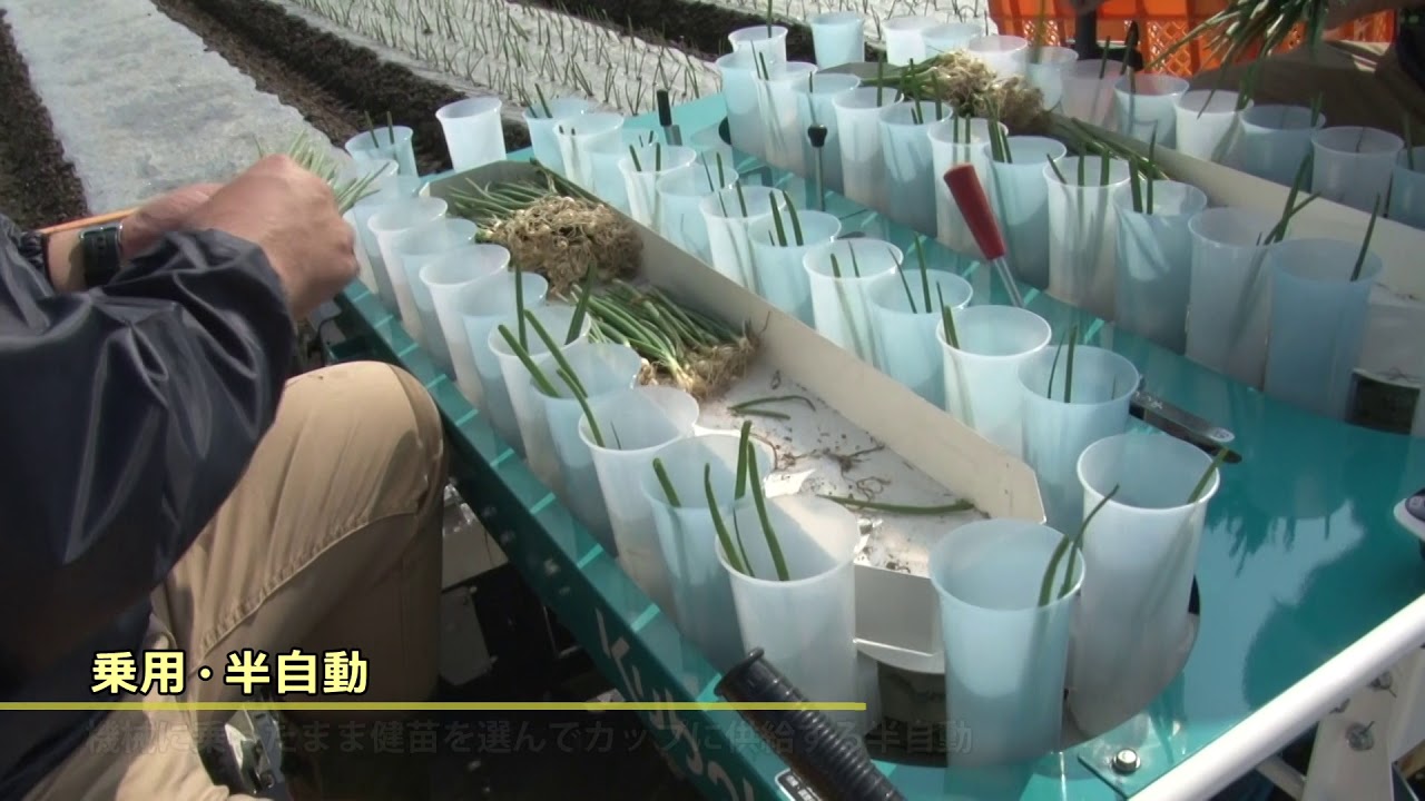 クボタ乗用4条半自動たまねぎ移植機　KP-4T(S)