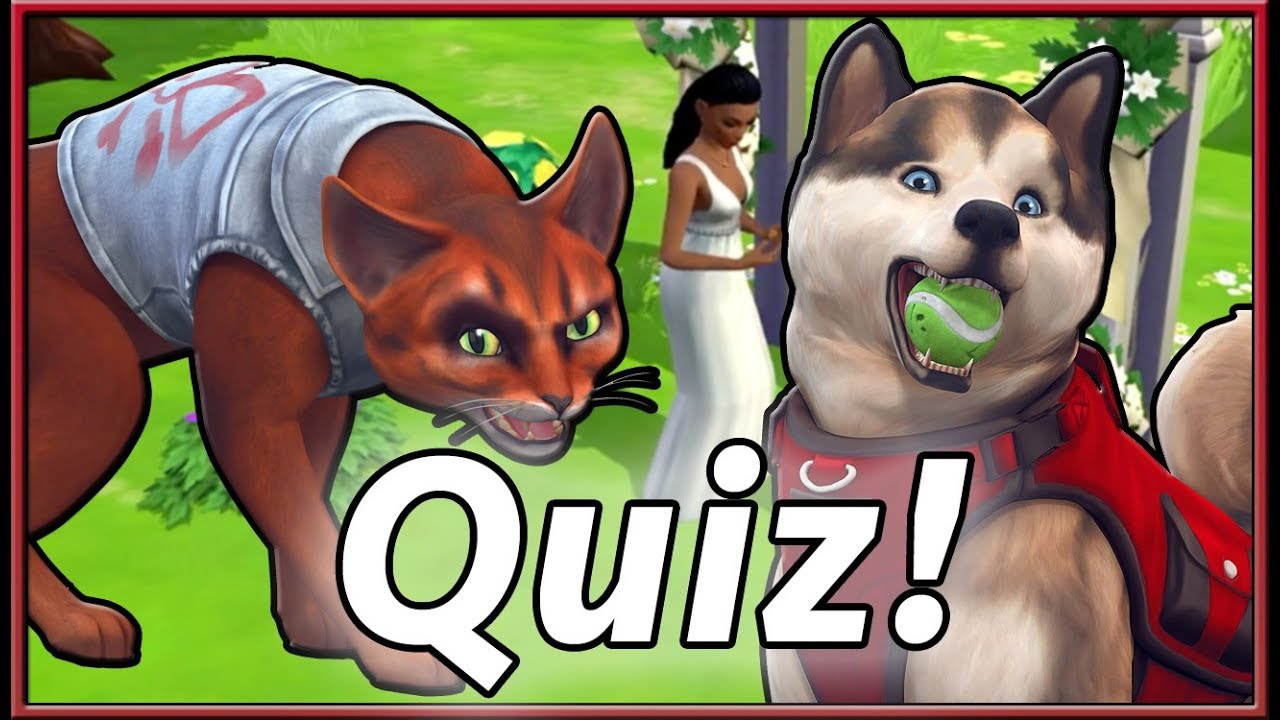 New Personality Quiz & More! | The Sims 4: Cats & Dogs/The Sims Mobile