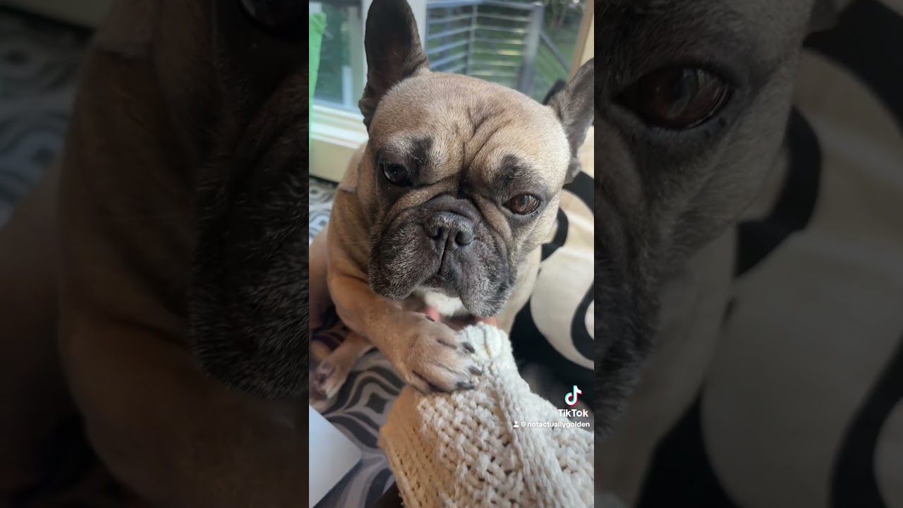 Massima manutenzione