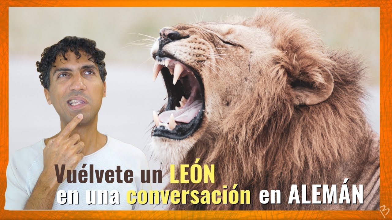 ¡Vuélvete un LEÓN en una conversación en ALEMÁN! - Aprende las Preguntas Indirectas