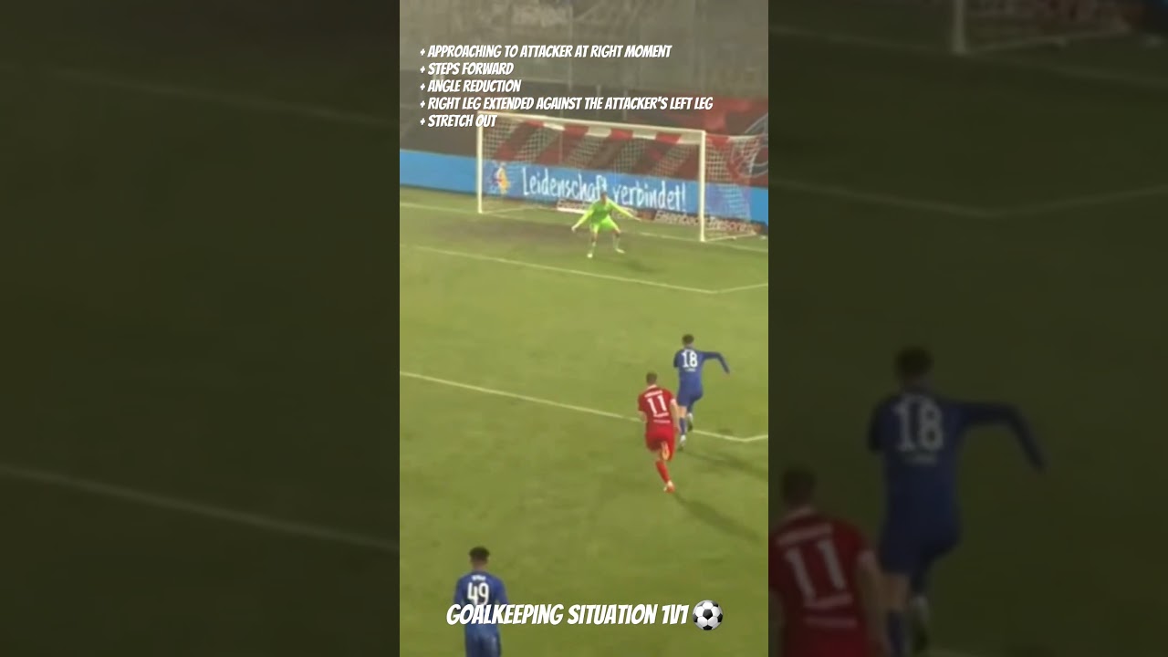 Regionalliga Nordost DE. Goalkeeping situation 1v1 #cottbus #berlin #football #goalkeeper #1v1