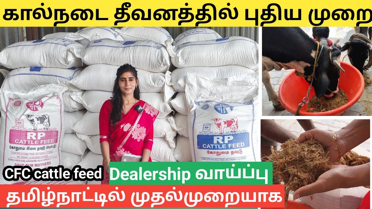 புதிய முறை கால்நடை தீவனம் தமிழ்நாட்டில் முதல் முறையாக |  Low Cost CFC FEED FOR CATTLES