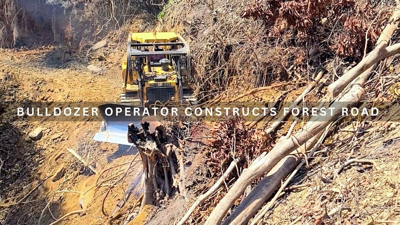 The CAT D6R XL Dozer Operator Doing an Excellent Job Of Constructing a Forest Road