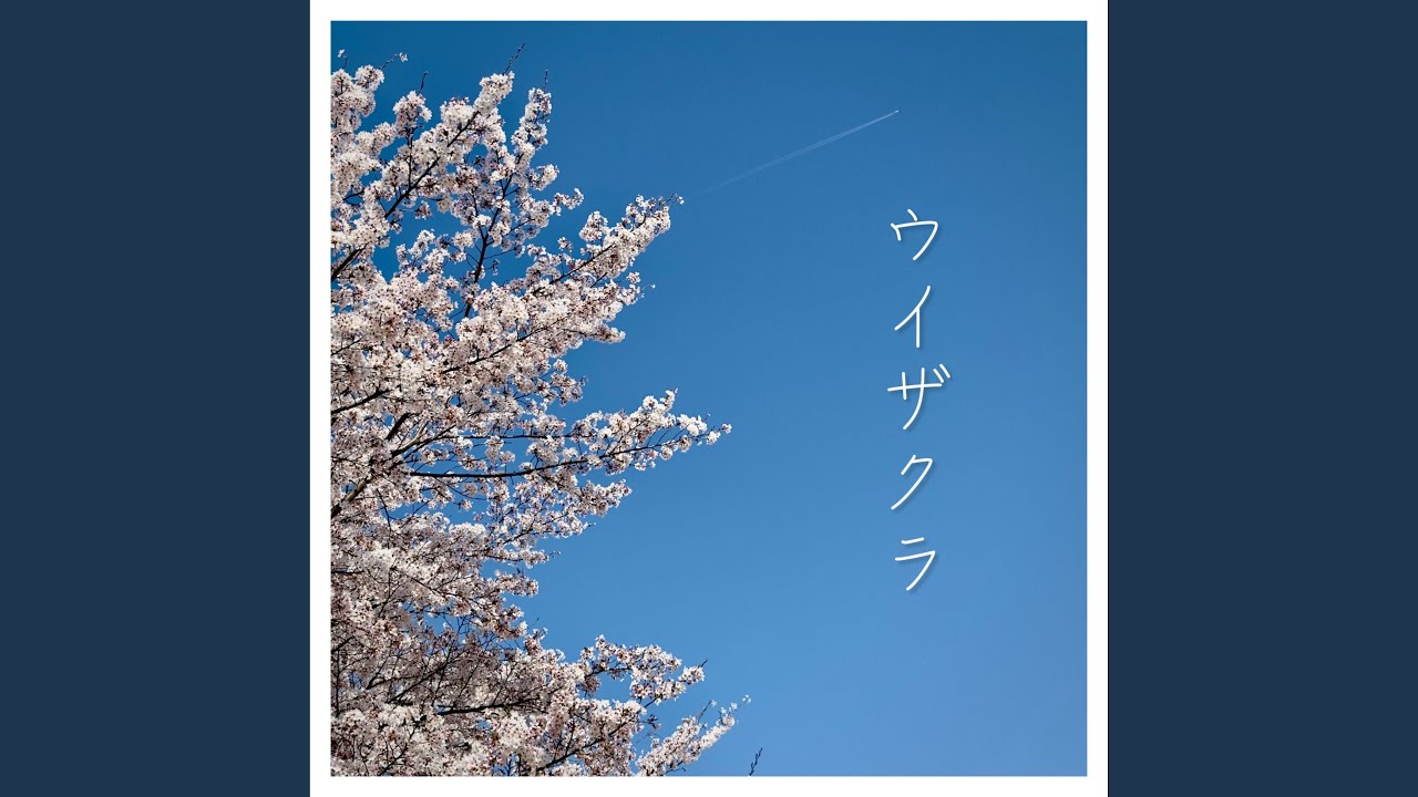 ウイザクラ