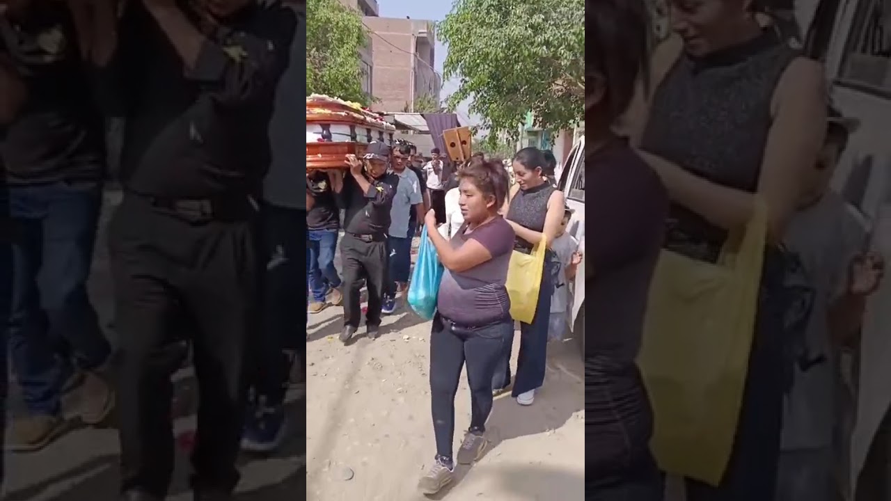 Fiesta patronal vischongo 2025